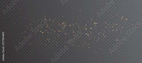 Magic shining golden dust. Small particles of powder dust bokeh effect. Light dust for web design. Vector
