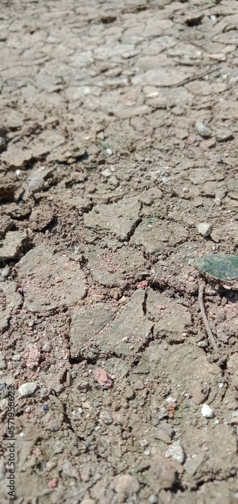 Fototapeta premium Texture Cracks in clay surface