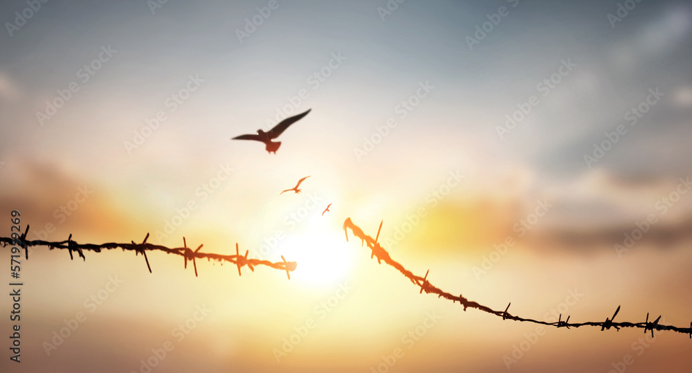 barbed wire broken at  sunset background