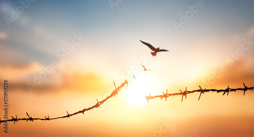 Silhouette of barbed wire with cloud and sun beam light background 
