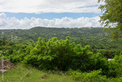 The View from St Mark's Anglican Church Barbados