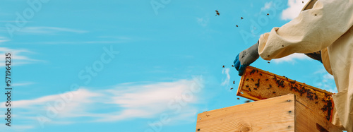 Banner. A beekeeper in a protective suit and gloves pulls out a honey frame with bees from a wooden hive. Bright blue sky. Beekeeping. Eco apiary in nature. Production and pumping of fresh honey