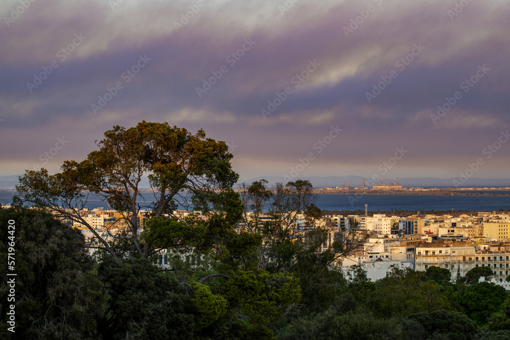 Vue sur la ville de Tunis au coucher du soleil