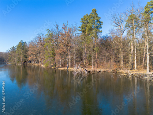View of a frozen forest lake on a sunny winter day with reflections