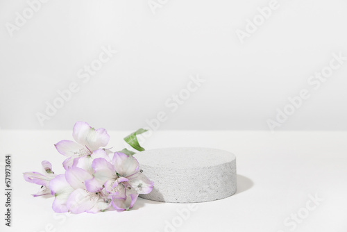 Cylindrical concrete stone podium on a white gray background with hard shadows and plant, flowers. Minimal empty cosmetic product presentation scene. Geometric podium.
