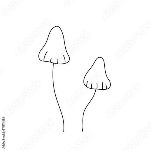 Vector isolated two pair of simplest mushrooms on thin legs toadstools toxic colorless black and white contour line easy drawing