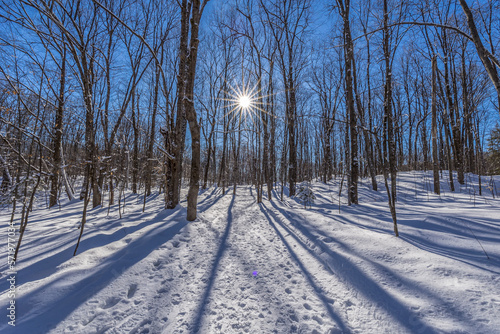 Winter wonder land not far away from Ottawa, Ontario in Canada at a cold but sunny day in winter.