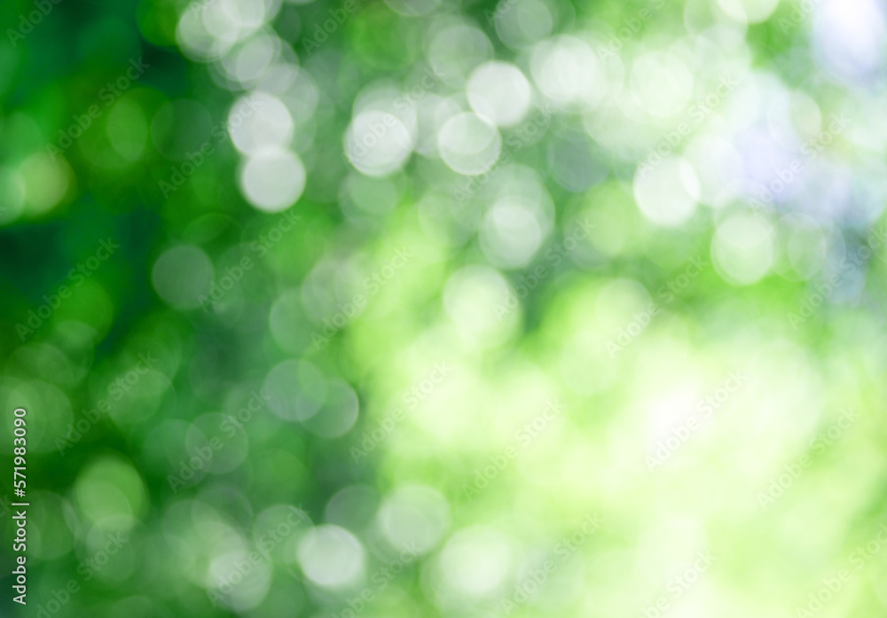 Natural green a blurred background Natural green a blurred background