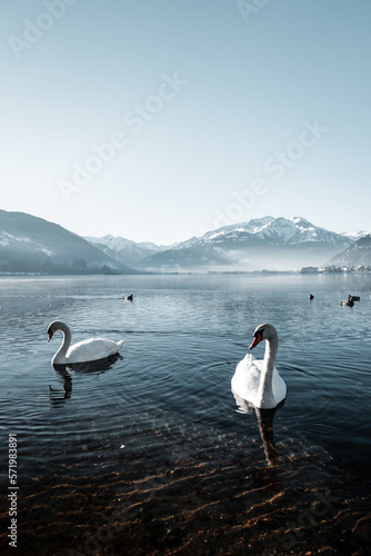 Fototapeta Naklejka Na Ścianę i Meble -  Amazing winter vibes at a lake in between snowy mountains in the alps