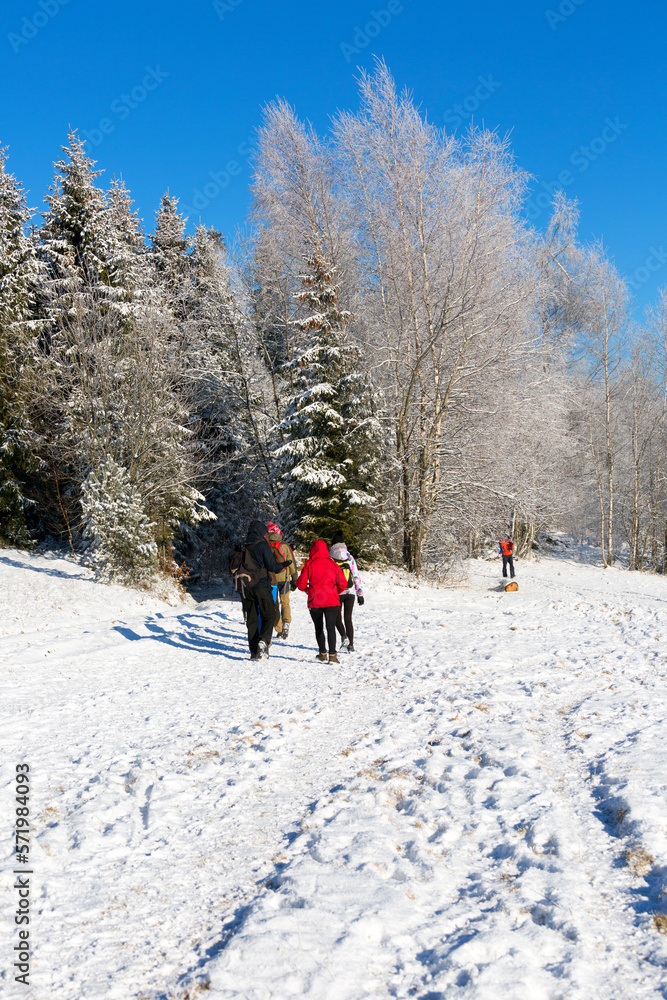 A group of tourists walking in the mountains during a snowy winter, Gorce National Park, Poland