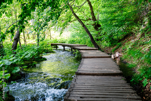 Wooden Bridge in Forest