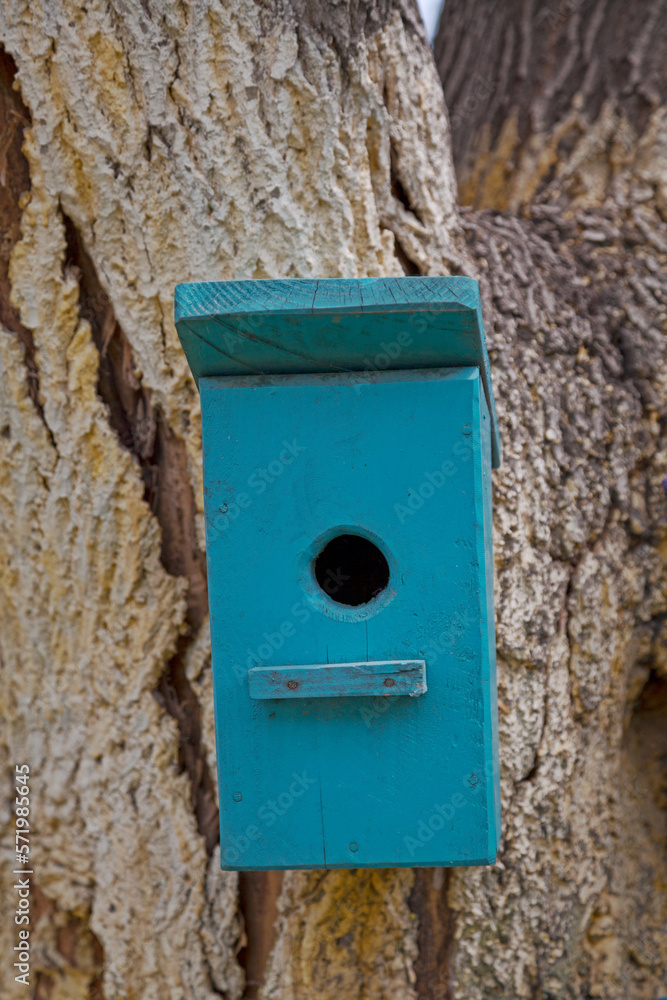 Blue birdhouse in a tree