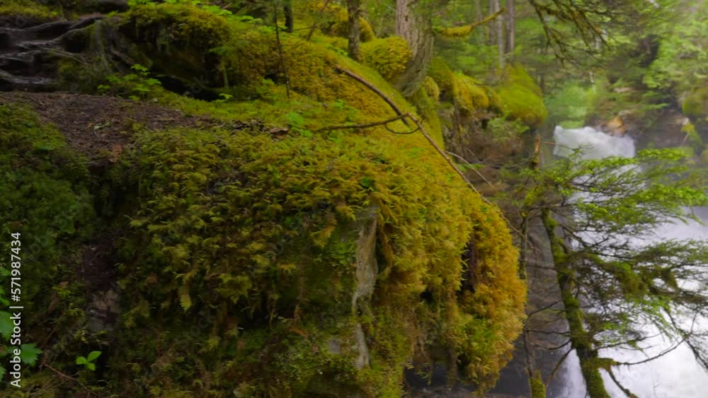 Establishing shot of majestic mountain waterfall with mountain background in Vancouver, Canada, North America. Day time on July 2022. Still camera view. ProRes 422 HQ. Establishing shot of majestic mountain waterfall with mountain background in Vancouver, Canada, North America. Day time on July 2022. Still camera view. ProRes 422 HQ.