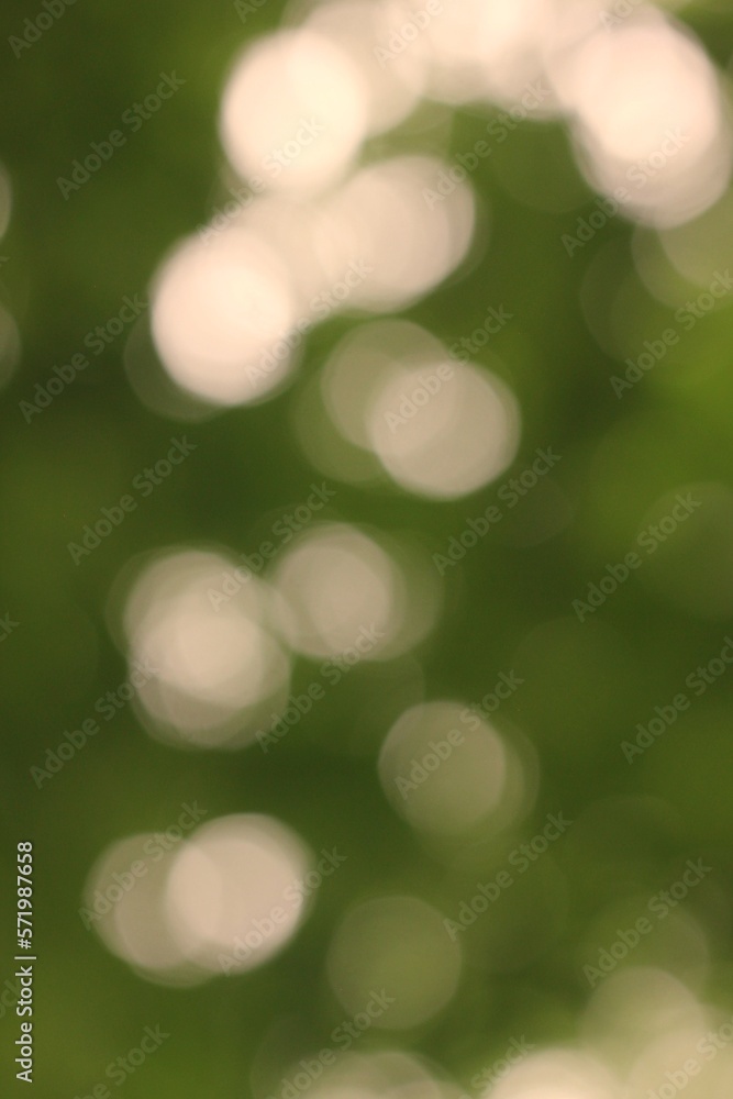 Obraz premium green bokeh background
