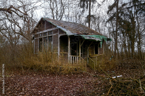 Abandoned cabin in the woods © BreizhAtao