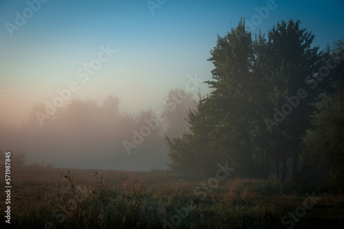 Meadow and river Goryn are located in Ukraine, Rivne region. © Галина Нечипорук