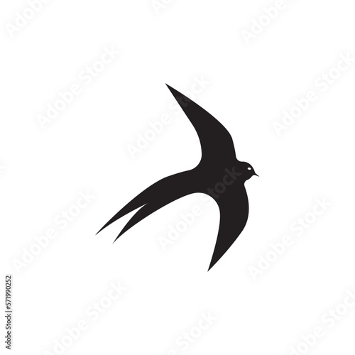 Bird logo vector template illustration icon © anto
