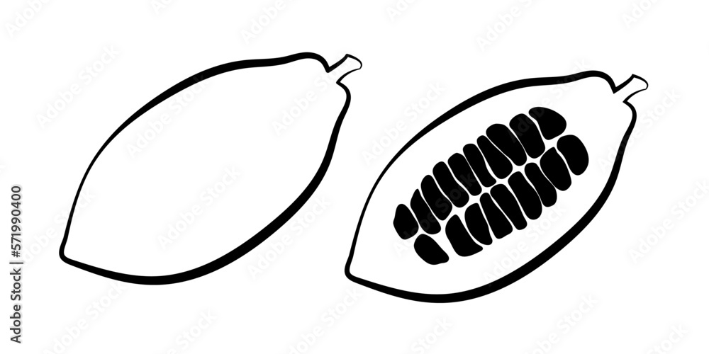 Silhouette of cocoa beans. Silhouette of cocoa beans.