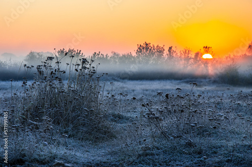 A frosty dawn on a meadow near the Horyn River. photo