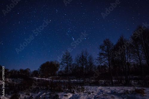 Winter night © Галина Нечипорук