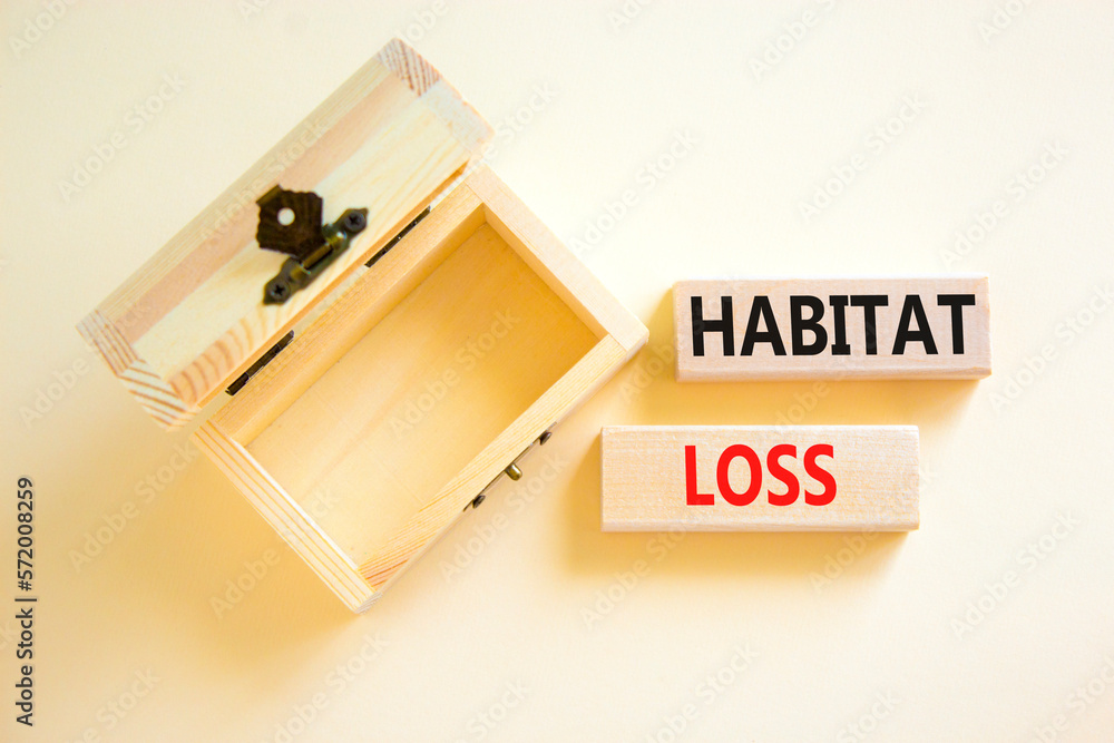 Habitat loss symbol. Concept words Habitat loss on wooden block. Beautiful white table white background. Empthy opened wooden chest. Business habitat loss concept. Copy space. Habitat loss symbol. Concept words Habitat loss on wooden block. Beautiful white table white background. Empthy opened wooden chest. Business habitat loss concept. Copy space.