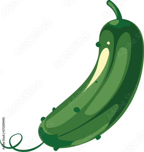 Green cucumber. Cartoon raw fresh vegetable icon
