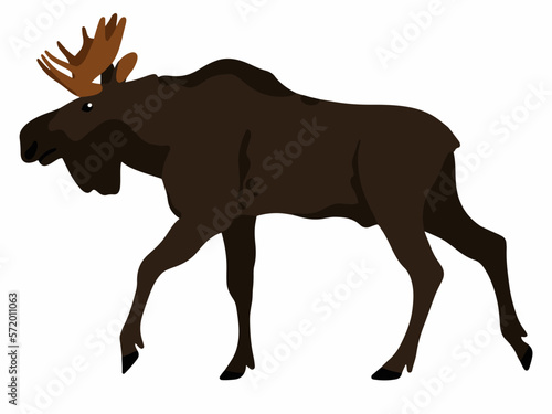 walking moose cartoon vector illustration isolated on white