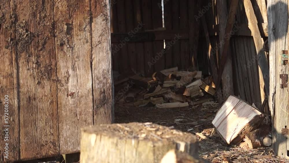 Firewood for the oven. Wood preparation. Chopping wood. Household.