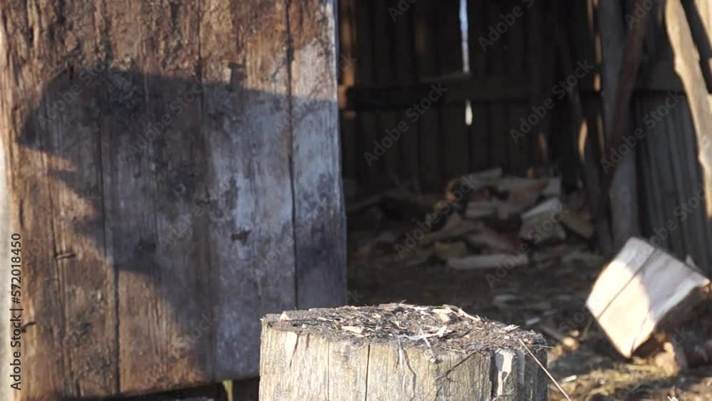 Firewood for the oven. Wood preparation. Chopping wood. Household. Firewood for the oven. Wood preparation. Chopping wood. Household.