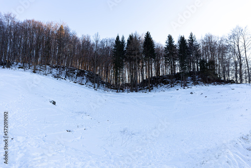 winter forest in the mountains, Winter Tree Silhouettes Against a Serene Sky