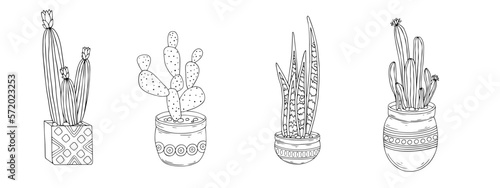 Linear sketch coloring plants of the succulent, cactus family in flower pots. Vector graphics.