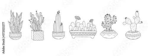 Linear sketch coloring plants of the succulent, cactus family in flower pots. Vector graphics.