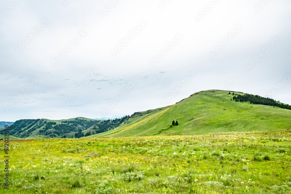 Rolling Green Hills of Zumwalt Prairie Near Wallowa, OR on Cloudy Day