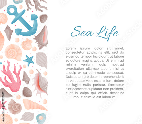 Sea Life Decorative Banner Design with Conch and Cockleshell Vector Template