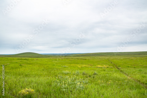 Rolling Green Hills of Zumwalt Prairie Near Wallowa  OR on Cloudy Day