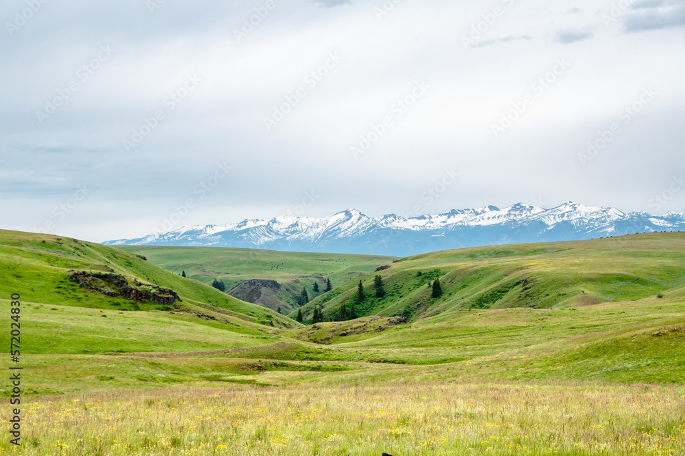 Obraz premium White Wallowa Mountain Range and Green Rolling Hills of Zumwalt Prairie in Oregon in Winter
