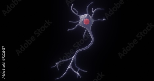 Multipolar Neuron in 3D illustration photo