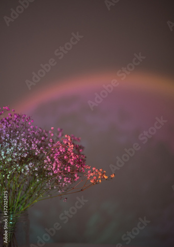 flowers in the night