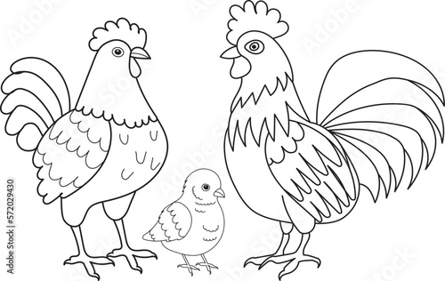 hen, chick, rooster character coloring book isolated, vector