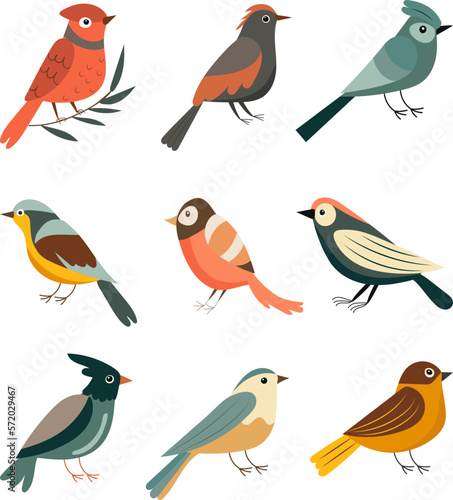set of birds and on a white background  vector
