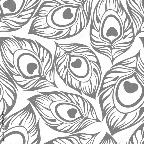 seamless contour pattern of gray peacock feathers on a white background, texture, design