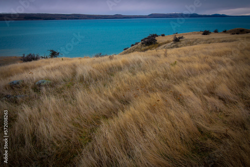 Meadow over Lake  New Zealand