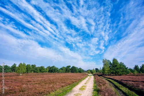 Lüneburger Heide