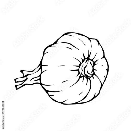 Linear sketch, doodle chasnok.Vector graphics.	