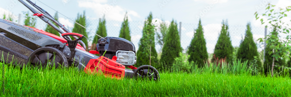 Fototapeta premium Close up view of lawn mower cutting grass on sunny summer day