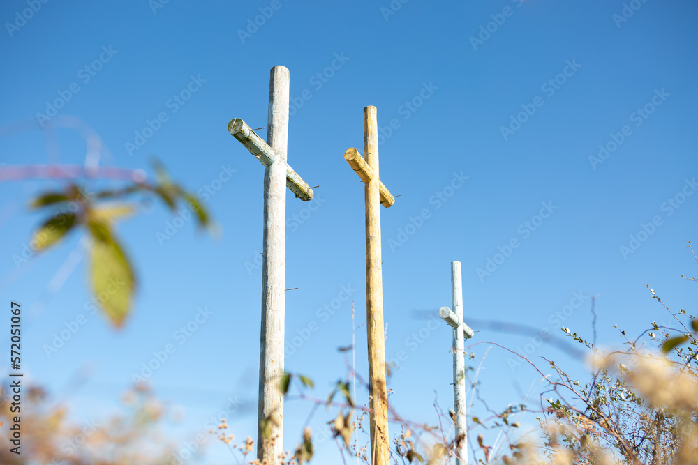 Αυτοκόλλητο Upward view of three wooden crosses with nails in garden