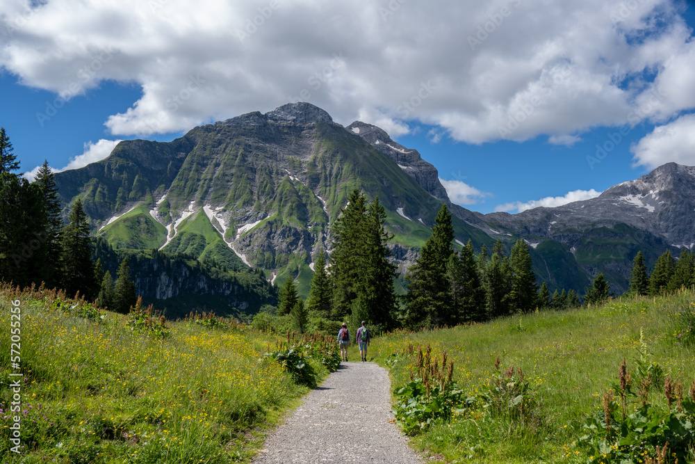 On the way to the Körbersee, Hochtannberg, Hochkrumbach, Arlberg Region, View toward Mohnenfluh, Voralberg, Austria