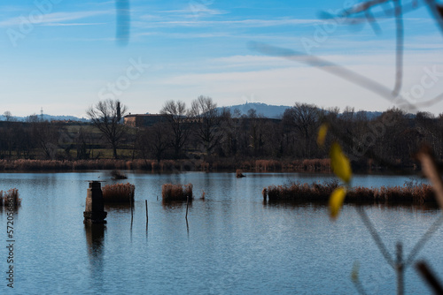 paesaggio lagunare d'inverno  photo