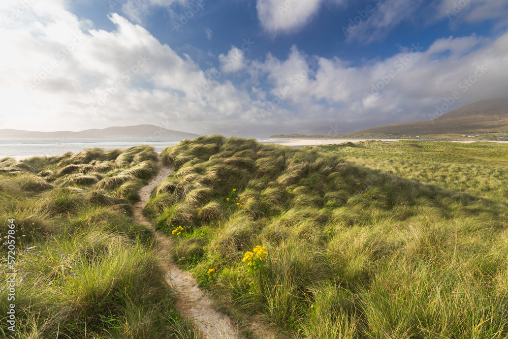 The path in the middle of grass dunes brings at Luskentyre Beach on the Isle of Harris, Outer Hebrides