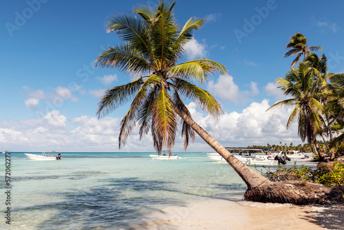 Fototapeta Naklejka Na Ścianę i Meble -  The Palms on the beach at Saona island in the Dominican Republic.